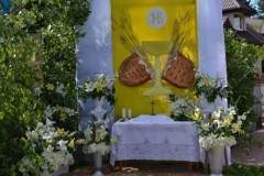 BozeCIalo_2011-15