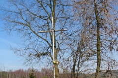 Kapliczki-Parafia-Branszczyk-2011-106