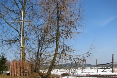 Kapliczki-Parafia-Branszczyk-2011-107
