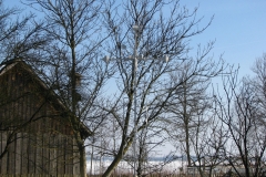 Kapliczki-Parafia-Branszczyk-2011-133