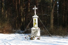 Kapliczki-Parafia-Branszczyk-2011-14
