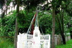 Kapliczki-Parafia-Branszczyk-2011-151