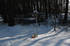 Kapliczki-Parafia-Branszczyk-2011-16