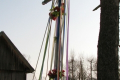 Kapliczki-Parafia-Branszczyk-2011-18
