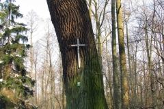 Kapliczki-Parafia-Branszczyk-2011-41