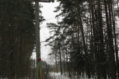 Kapliczki-Parafia-Branszczyk-2011-8