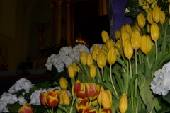 Kosciol-2012-18