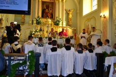 Prymicja_ks_jacka2011-55